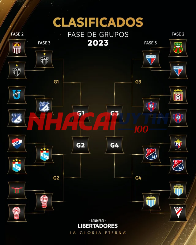 Lý do nên theo dõi lịch thi đấu siêu cúp Nam Mỹ là gì?