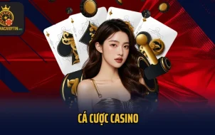 Cá Cược Casino