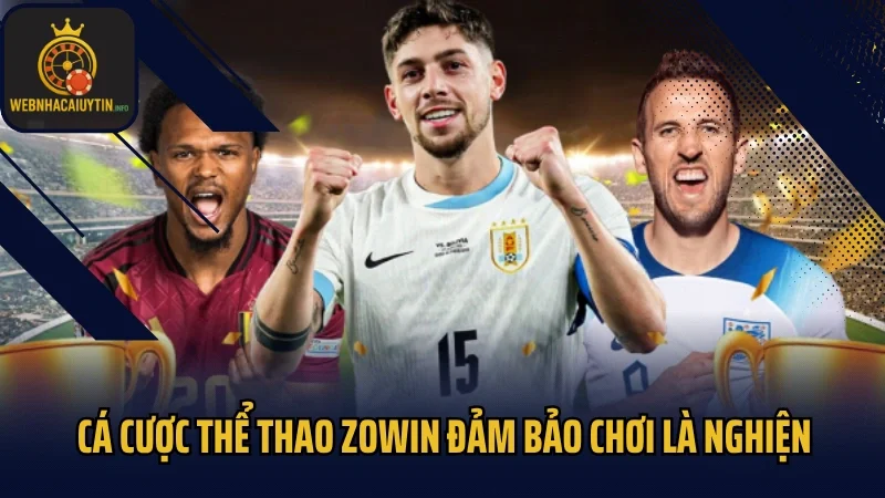 Cá cược thể thao Zowin đảm bảo chơi là nghiện