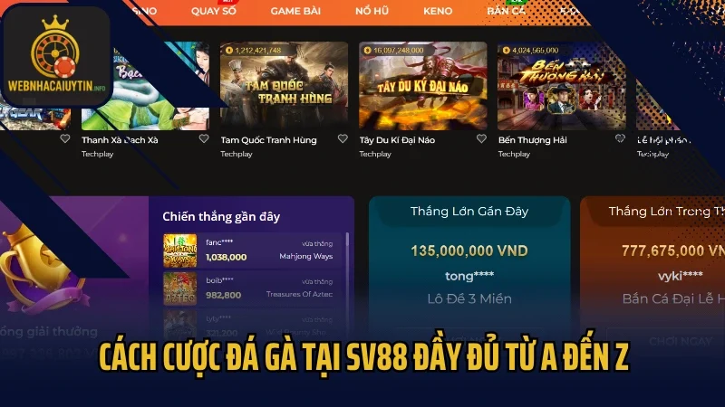 Cách cược đá gà tại SV88 đầy đủ từ A đến Z