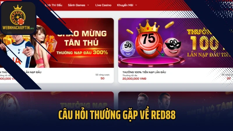 Câu hỏi thường gặp về RED88