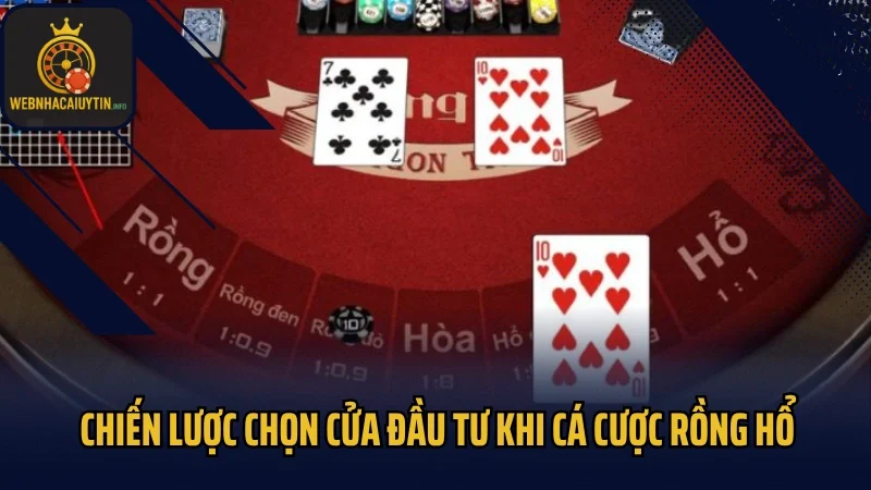 Chiến lược chọn cửa đầu tư khi cá cược rồng hổ
