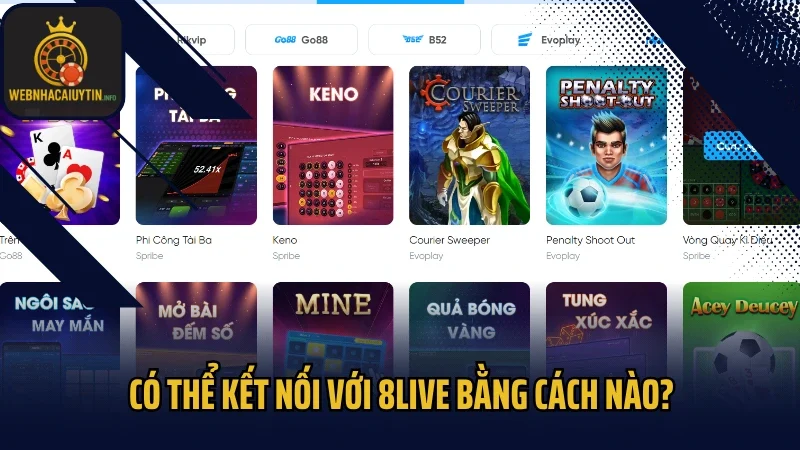 Có thể kết nối với 8live bằng cách nào?