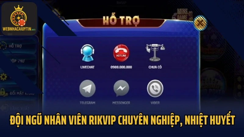 Đội ngũ nhân viên Rikvip chuyên nghiệp, nhiệt huyết