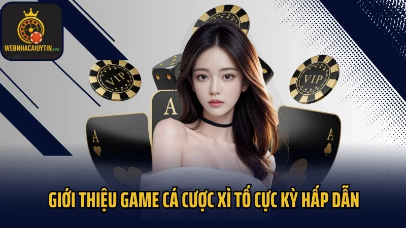 Giới thiệu game cá cược Xì Tố cực kỳ hấp dẫn