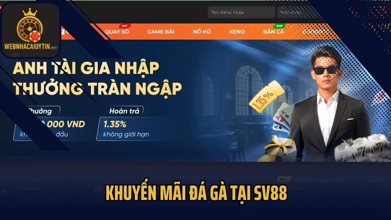 Khuyến mãi đá gà tại SV88 lợi ích nhân đôi cho người chơi