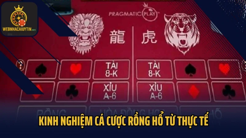 Kinh nghiệm cá cược rồng hổ từ thực tế