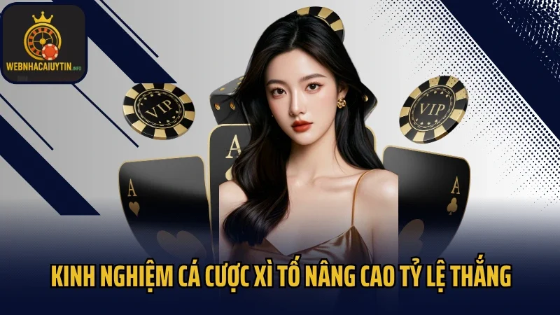 Kinh nghiệm cá cược Xì Tố nâng cao tỷ lệ thắng