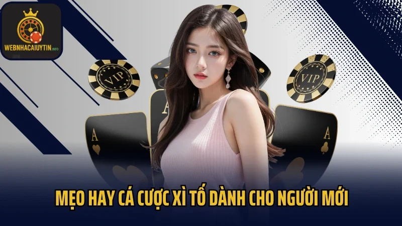 Mẹo hay cá cược Xì Tố dành cho người mới