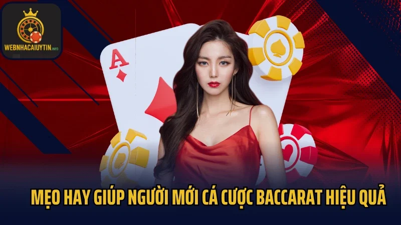 Mẹo hay giúp người mới cá cược Baccarat hiệu quả