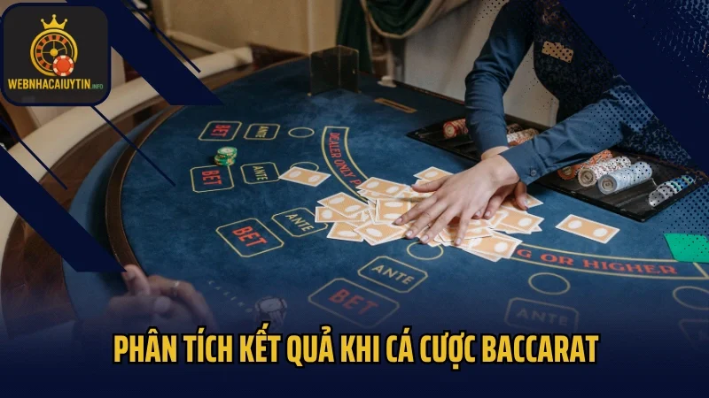 Phân tích kết quả khi cá cược baccarat