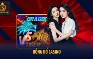 Rồng Hổ Casino