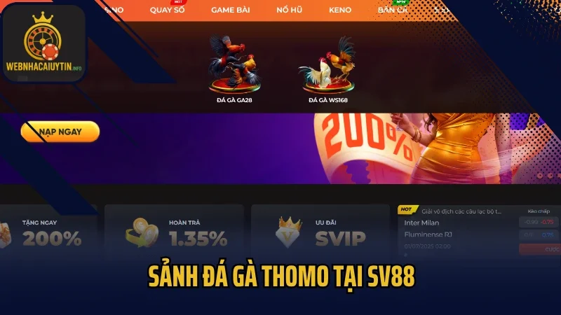 Sảnh đá gà Thomo tại Sv88