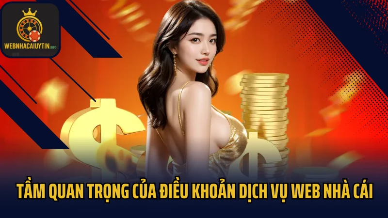 Tầm quan trọng của điều khoản dịch vụ Web nhà cái
